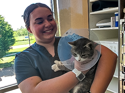 CCA student interacts with a cat during her vet tech job shadow. 